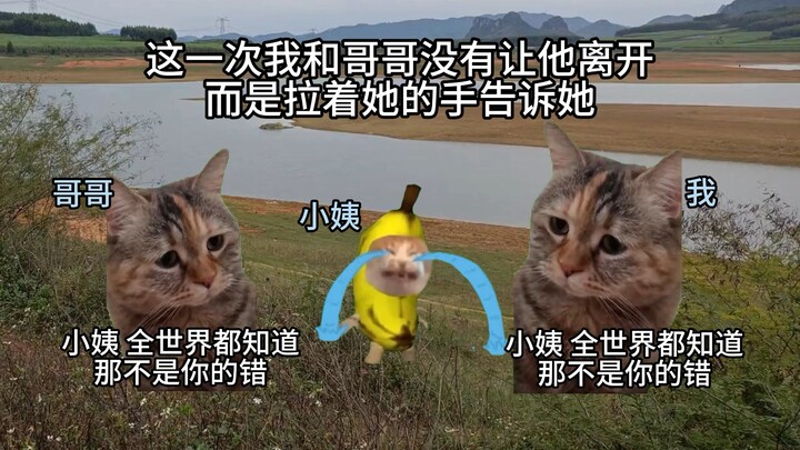 小姨的一生