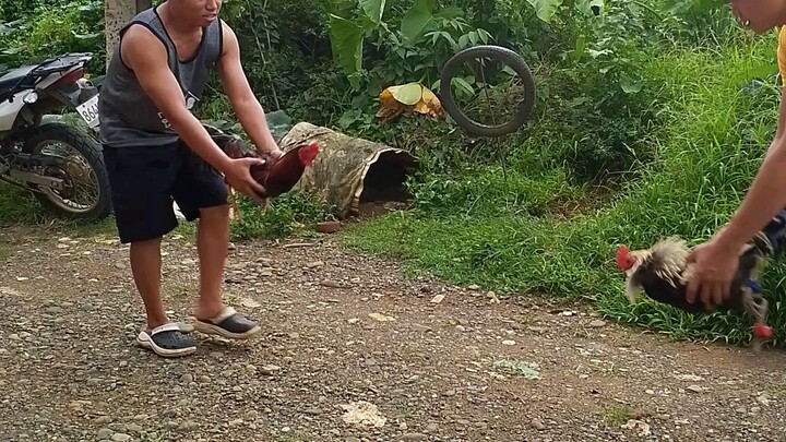 exercise muna bago purga