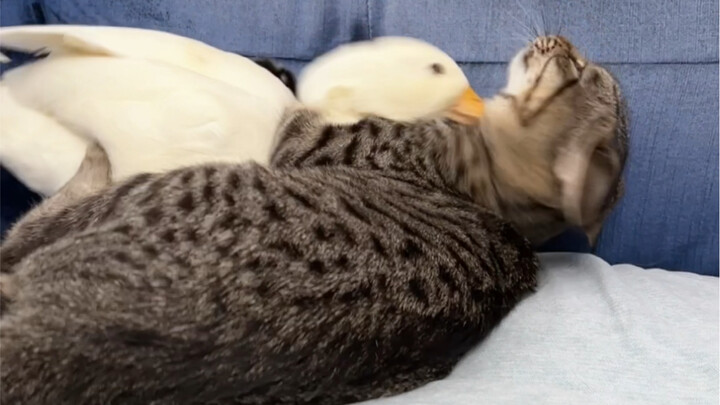 Getting more and more rebellious—great!