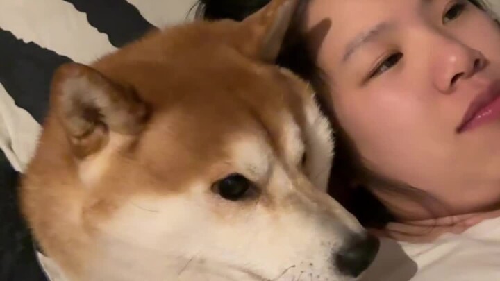 Giống hệt cảnh trước khi đi ngủ của bạn và bạn trai.