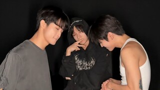 【SHINee】 التحقق من الذنب🐣🐯🌹