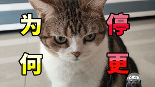 ถูกบังคับให้หยุดการอัปเดตเนื่องจากมีภาพเปิดเผย