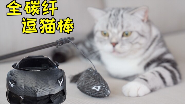 用兰博基尼上的材料给猫做了一根逗猫棒！感觉猫玩一辈子都坏不了！