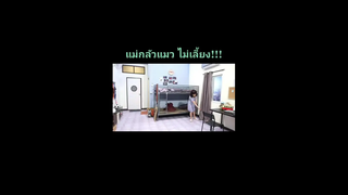 น้องปูอัด🤣