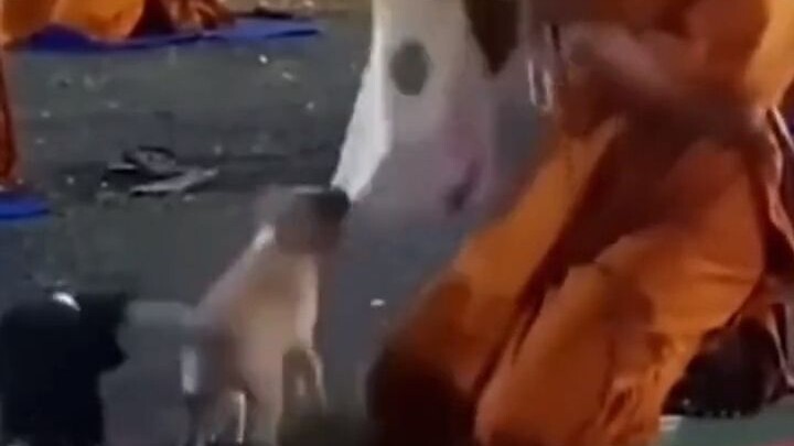 Enough is enough—no need to endure any longer!