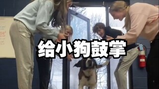 给日托班的狗狗们鼓掌，看看它们会有什么反应！