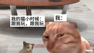 Trân quý, trân quý, lại còn trân quý nữa