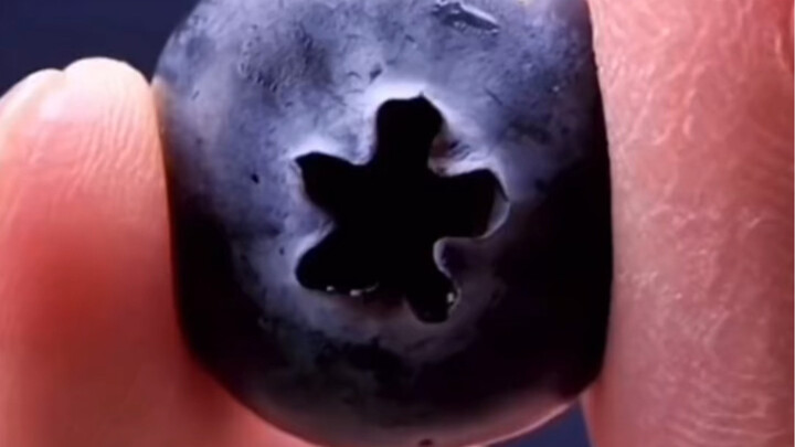 Watch closely! When you squeeze a blueberry, it turns into…