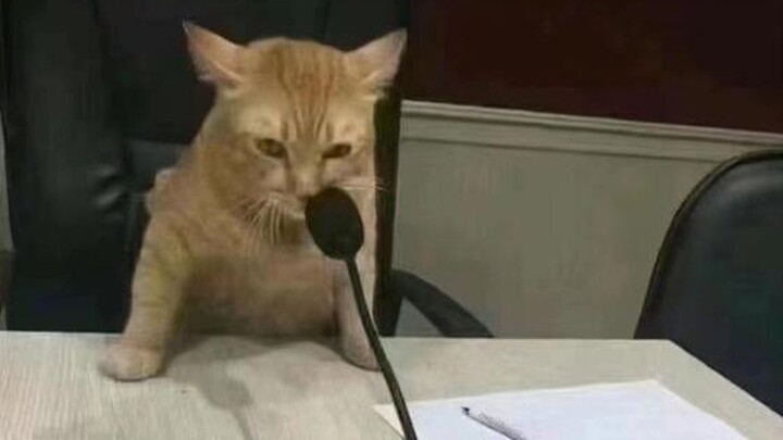 Cat: Your Honor, that’s exactly what happened at the time.