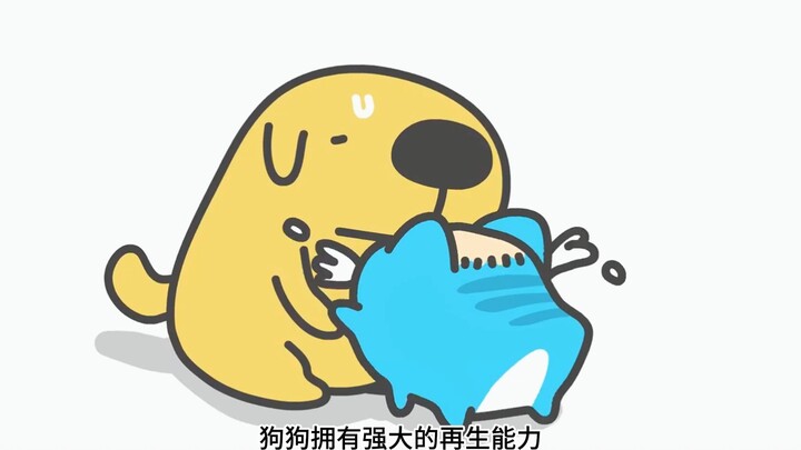 Perkenalan anjing