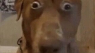 When i hear walking outside in 12 o clock midnight😱