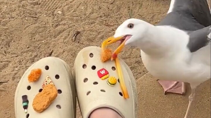 การกินทุกอย่างจะส่งผลเสียต่อคุณเท่านั้น