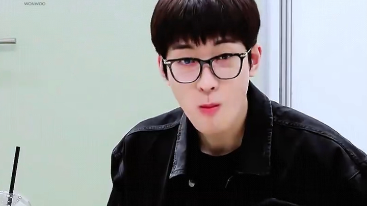 Wonwoo: Kamu adalah pacarku, dia juga