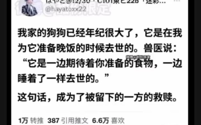 "لحظة في الجنة، لحظة في الجحيم"