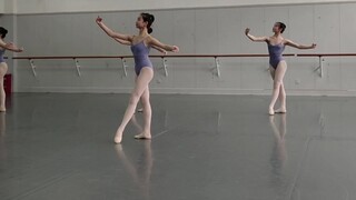 Ballet Professional Class (I)