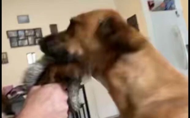 Diễn viên xuất sắc nhất