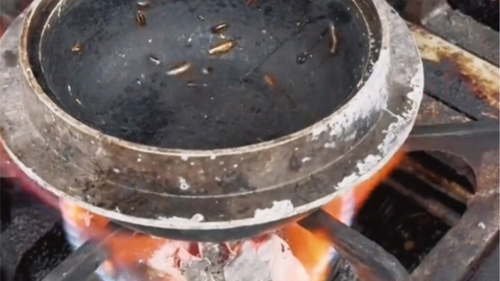 Sekarang baru tahu betapa menakutkannya kecoa selatan!