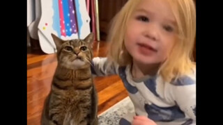 养娃与养猫的的争议