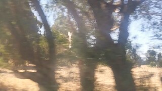 Travel to Australia 🦘🦘