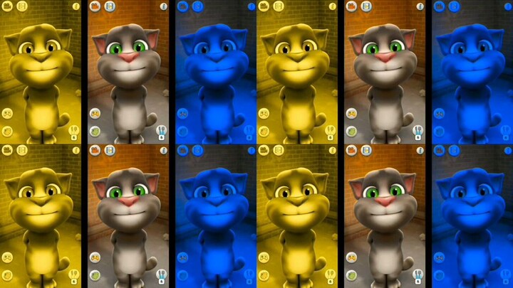 Talking Tom - Talking Toms | Talking Tom Cat Color