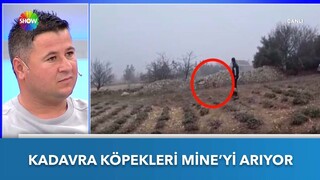 Özel eğitimli köpek ''Sima'' Mine Kocadağ'ı arıyor | Didem Arslan Yılmaz'la Vazgeçme | 25.01.2023