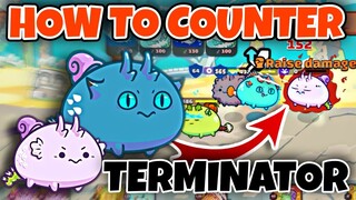 How to Counter TERMINATOR Build AXIE? | AXIE Infinity 2021