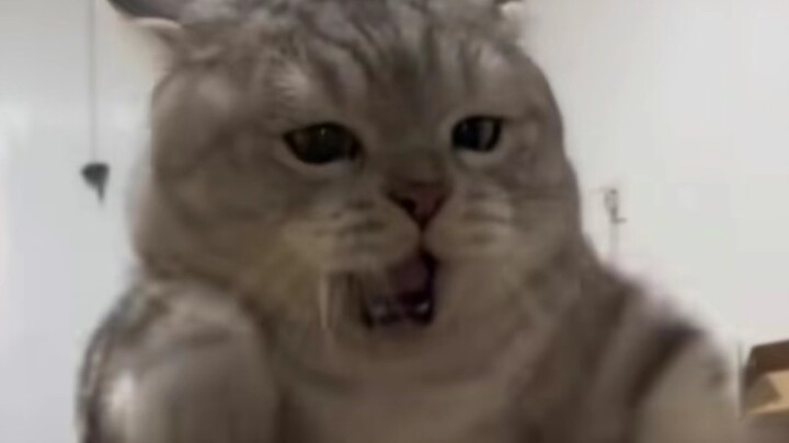 น่ารักแซ่บเวอร์! อดใจไม่ได้ต้องวาดออกมาเลย ยังไม่คิดรับงานตอนนี้ O.o