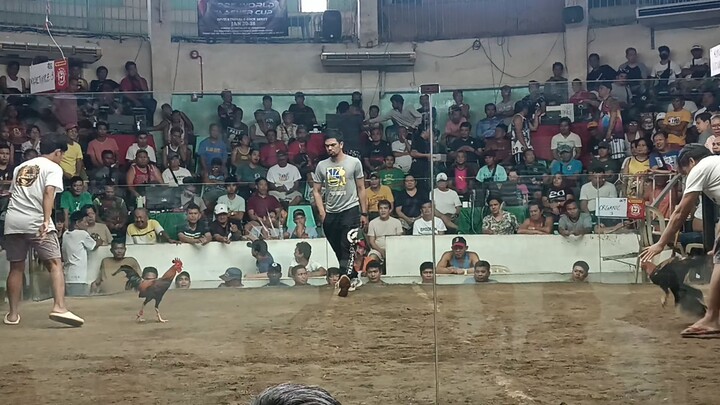 buti nalang na amoy nya ung kalaban #Manok ni Dadi JOE