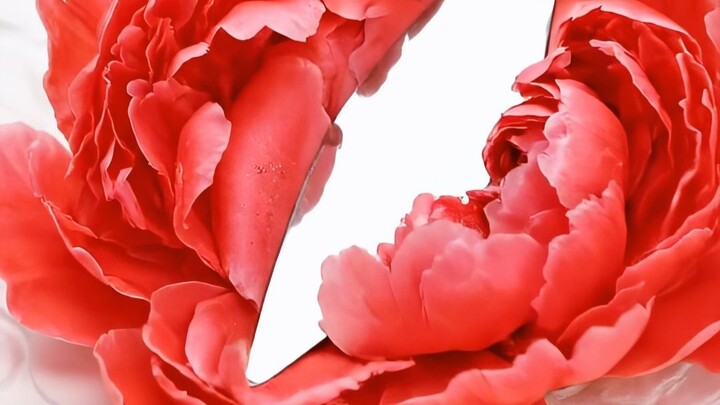 الألوان المصنوعة من الزهور جميلة جدًا هكذا 🌸 إنها تُشفي القلب بشكل مبالغ فيه!