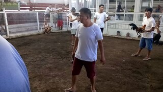 6/10 daw hahaha (win)