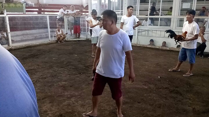 6/10 daw hahaha (win)