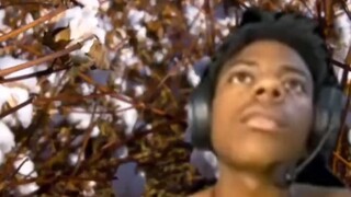 iShowspeed倾情献唱《阳光彩虹小白马》