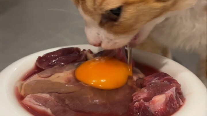 สุดยอดไปเลย! ขาแกะกินแล้วมีเสียงซอสร้อนฉ่า