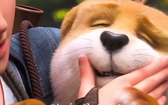 Những chú chó biết “ăn ngon”...