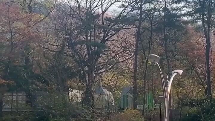 DEANtrbl IG story 200412