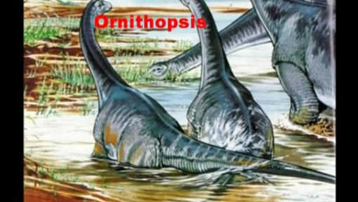 Dinosaurs A-Z