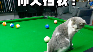 Are you blocking me again?