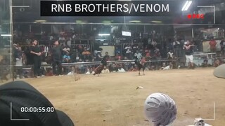 SMC ARENA CHAMPION FIGHT WIN RNB BROTHERS/VENOM 02-08-25 Raf Nilo Bunny eto ung lahing wla daw kwent