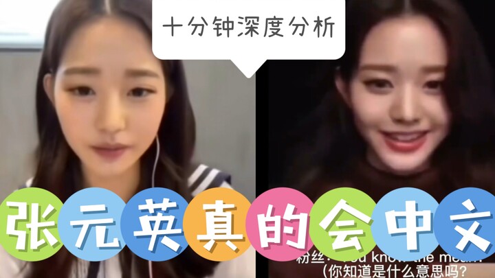 【张元英明明会说中文！十分钟深度分析】