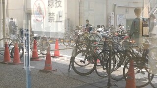 日本京都也有小黑子...