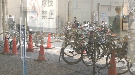 حتى كيوتو في اليابان لديها بعض المتصيدين...