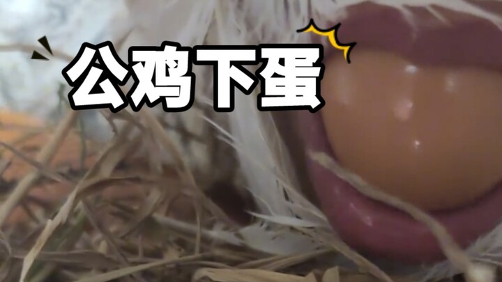 Some people really treat their mouth like a butt.