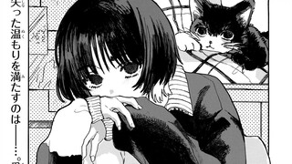一觉醒来 你的猫变成了美少女