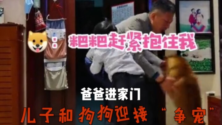 كاد أن يتحدث بشكل طبيعي من شدة التوتر! لم يكد الأب يعود إلى المنزل حتى بدأ الكلب والابن في "التنافس"