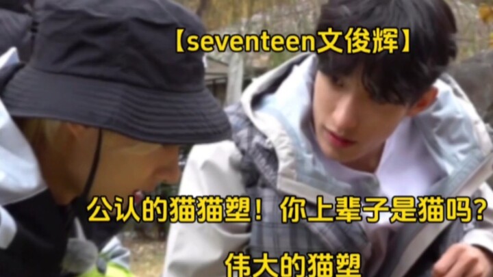 [Seventeen’s Wen Junhui] Inside the group and out, he’s a bona fide “cat‑like idol”! Were you a cat 