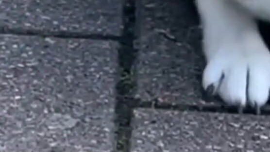 "Sebarkan 105 derajat dirimu yang cantik"