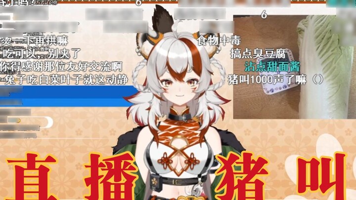 [The source of all evil] The anchor of the Pig Barking Area eats pig temple food