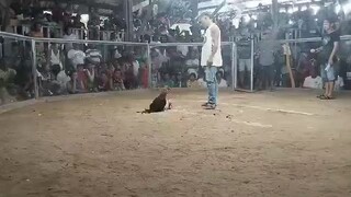 takuri entry hennie #2