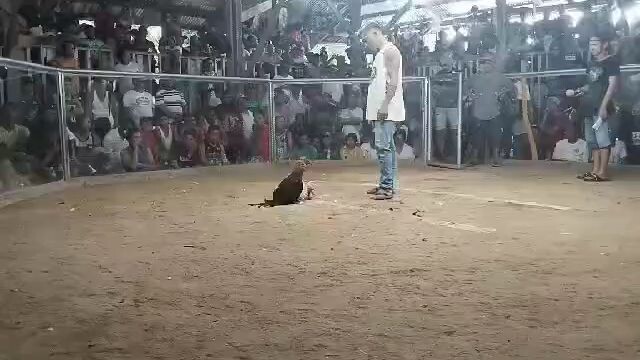 takuri entry hennie #2