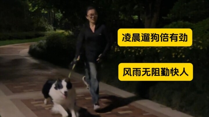 The Selective Weakness of Dog Owners (Who Are Also Wage Earners)